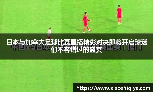 3377体育官网