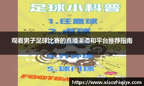 3377体育官网