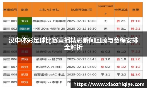 3377体育官网下载
