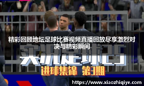 3377体育官网