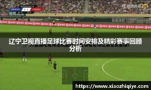 3377体育官网