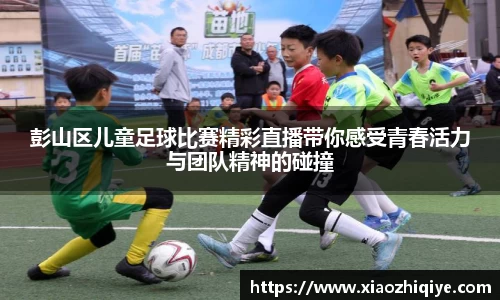 3377体育官网下载