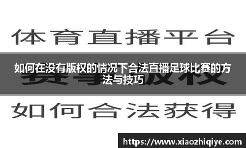 3377体育官网下载