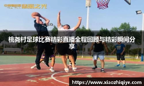 3377体育APP