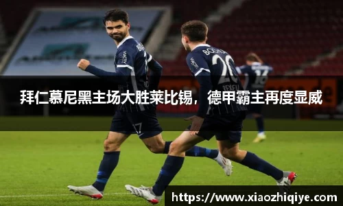3377体育官网下载