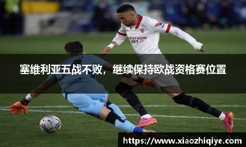 3377体育官网