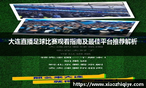 3377体育官网