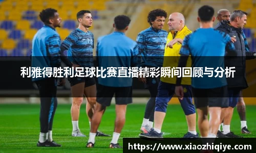 3377体育官网