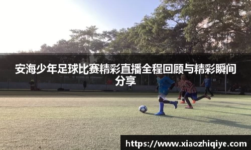3377体育官网下载