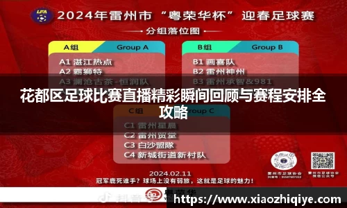 3377体育官网下载