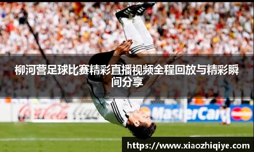 3377体育官网