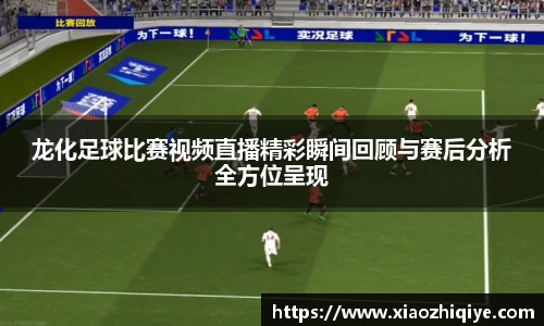 3377体育官网