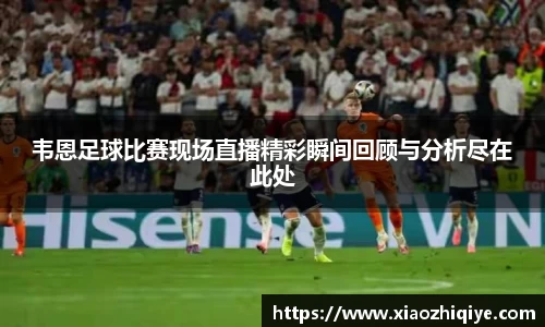 3377体育官网