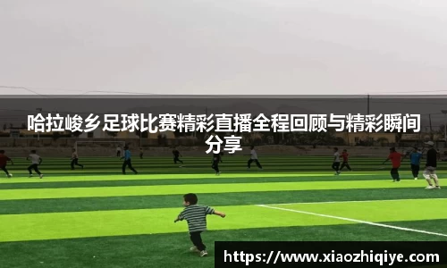 3377体育官网