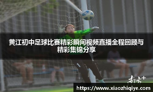 3377体育官网