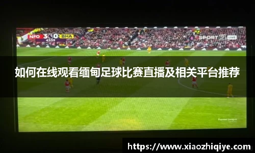 3377体育官网