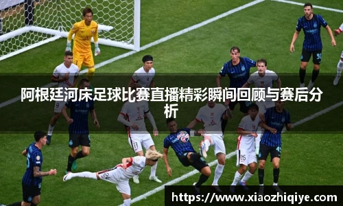 3377体育官网下载