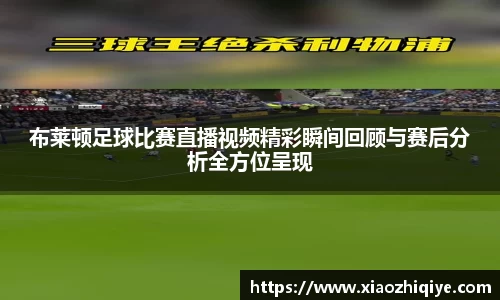 3377体育官网下载