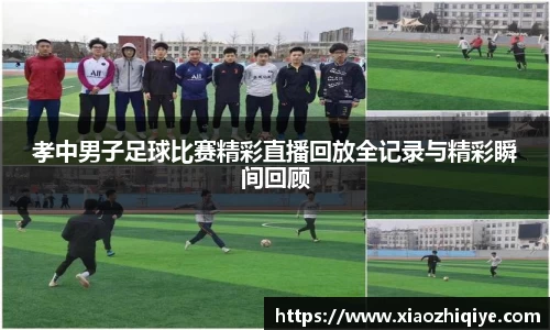 3377体育官网下载