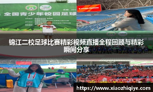 3377体育官网下载