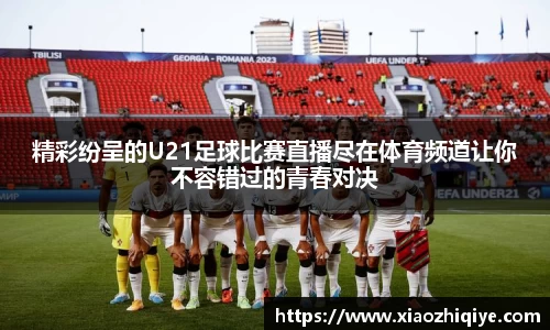 3377体育官网下载