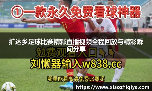 3377体育官网