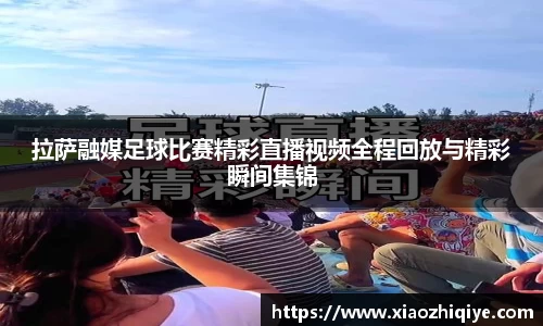 3377体育官网下载