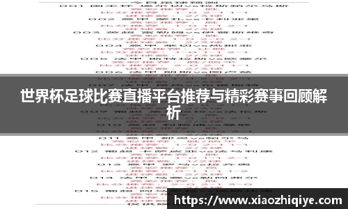 3377体育官网下载