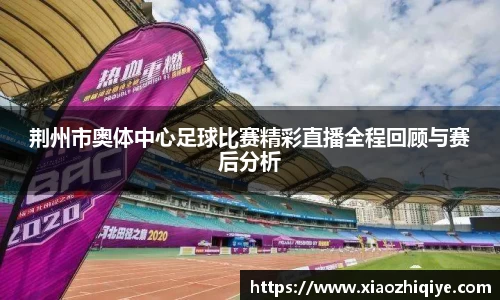 3377体育官网下载