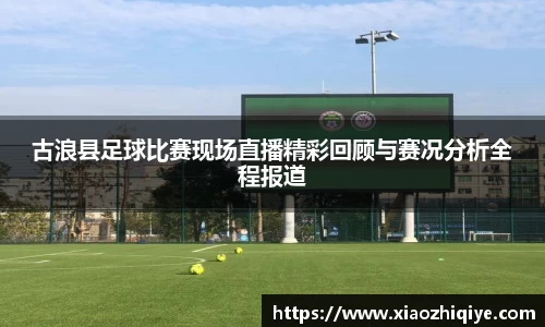 3377体育官网下载