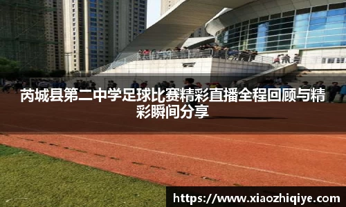 3377体育官网下载