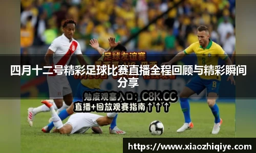 3377体育官网下载