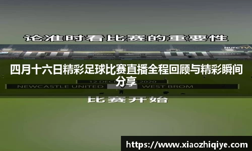 3377体育官网下载