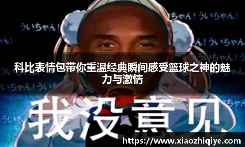 3377体育