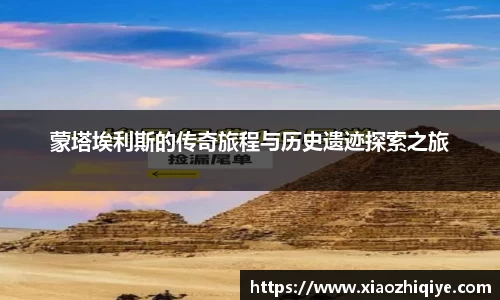 3377体育官网下载