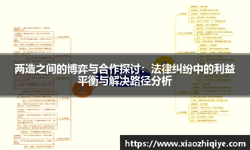 两造之间的博弈与合作探讨：法律纠纷中的利益平衡与解决路径分析