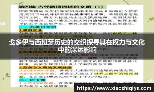 3377体育官网下载