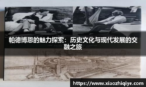 3377体育官网