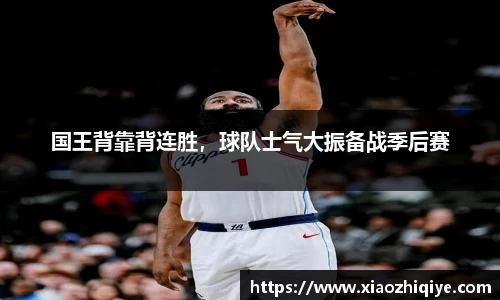3377体育