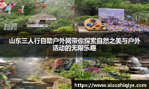 3377体育官网