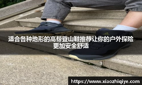 3377体育官网下载