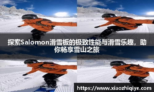 3377体育官网