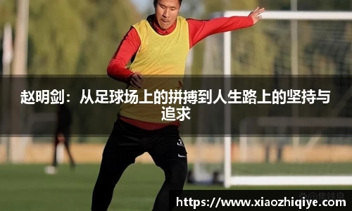 3377体育官网下载