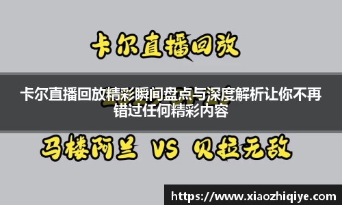 3377体育官网下载