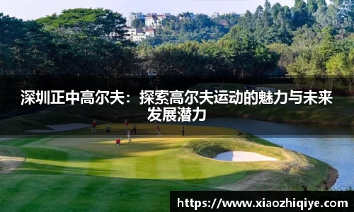 3377体育官网