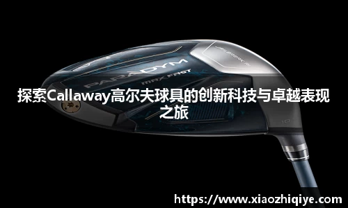 3377体育官网下载