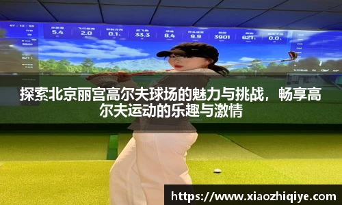 3377体育官网