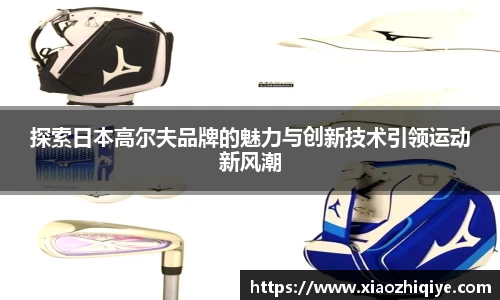 3377体育APP