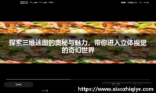 3377体育官网下载