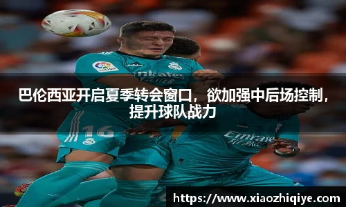 3377体育官网下载